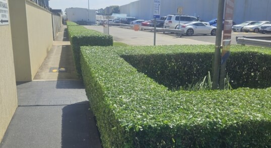 Site Maintenance &amp; Groundskeeping
