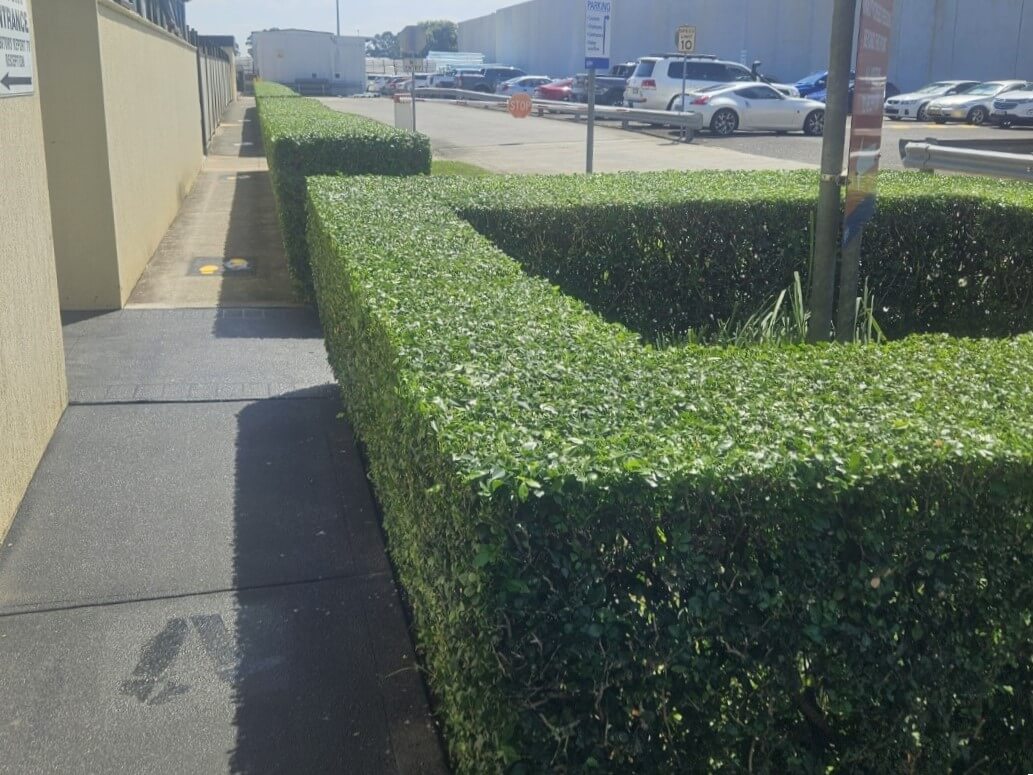 Vignaduzzo Constructions